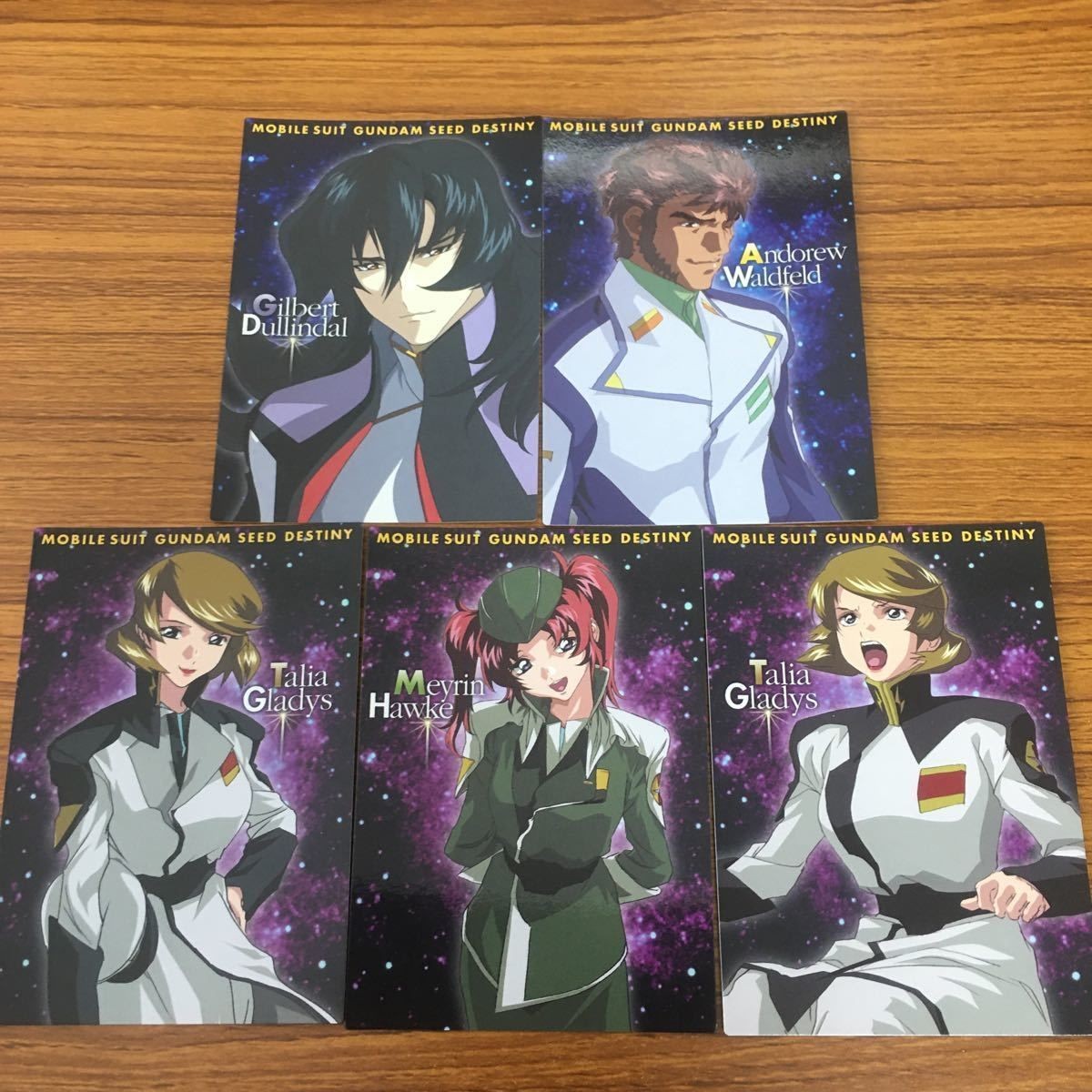カード ダス マスター ズ カード ガンダム SEED Destiny まとめ メイリン ホーク タリア グラディス 13