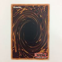 遊戯王 黒き森のウィッチ アジア 字レア カード まとめ サムネイル 7