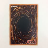 遊戯王 黒き森のウィッチ アジア 字レア カード まとめ サムネイル 6
