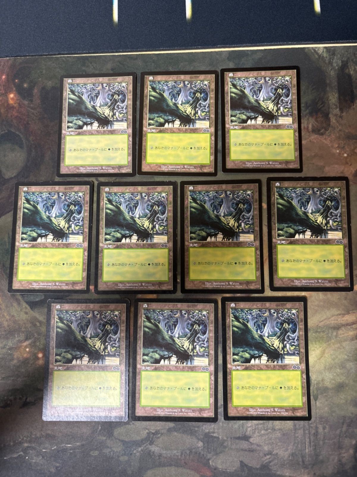 森/Forest 日本語 JP MTG ウルザズ・サーガ 10枚 型番統ー まとめ 人気絵柄 基本土地 大量 USG