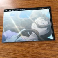 Fullmetal Alchemist Carddass Masters Edward Alphonse Card サムネイル 9