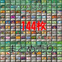 マッツァン カードゲーム カード まとめ いい大人達 マッツァンカードゲーム bp553 サムネイル 1