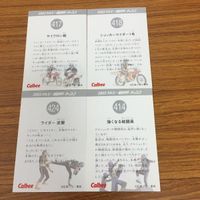 カルビー 仮面ライダー カード まとめ 仮面ライダー 1号 ショッカ ー ライダー 18 サムネイル 6