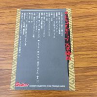 侍魂 サムライスピリッツ カード トレカ まとめ 11 25 36 ガルフォード 3 サムネイル 10