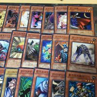 汎用 モンスター プレイアブル 構築レベル 被り無しコレクション 遊戯王 まとめ ゲートボール 40枚 ネコマネキング 惑星探査車 サムネイル 3