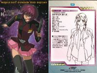 カード まとめ カードダスマスターズ ガンダムSEED シン アスカ ルナマリア ホーク メイリン ホーク アウル ニーダ スティング・オークレー ステラ ルーシェ ネオ ロアノーク 16 17 18 19 20 27 42 46 90 サムネイル 5