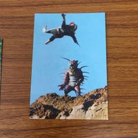 仮面ライダー カード まとめ 80 サムネイル 3