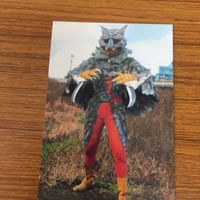 Calbee Kamen Rider Card Lot Japanese Vintage サムネイル 2