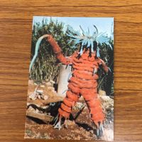 Calbee Kamen Rider Card Lot Japanese Vintage サムネイル 4