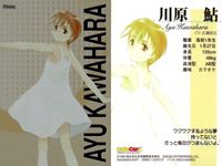 カード 北へ。 ColleCarA 非売品 プロモ 川原 鮎 PR 002 2 キラ PR 北へ サムネイル 2