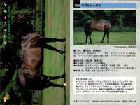 カード ホースレーシング まとめ セイントサブリナ リアルシャダイ ブライアンズタイム ホクトベガ メジロドーベル ケイエスヨシゼン サンライフテイオー トキオクラフティー メジロライアン 競馬 馬 バンダイ bandai サムネイル 3