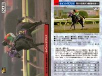 カード ホースレーシング まとめ セイントサブリナ リアルシャダイ ブライアンズタイム ホクトベガ メジロドーベル ケイエスヨシゼン サンライフテイオー トキオクラフティー メジロライアン 競馬 馬 バンダイ bandai サムネイル 2
