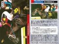 カード ホースレーシング まとめ セイントサブリナ リアルシャダイ ブライアンズタイム ホクトベガ メジロドーベル ケイエスヨシゼン サンライフテイオー トキオクラフティー メジロライアン 競馬 馬 バンダイ bandai サムネイル 9