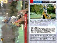 カード ホースレーシング まとめ セイントサブリナ リアルシャダイ ブライアンズタイム ホクトベガ メジロドーベル ケイエスヨシゼン サンライフテイオー トキオクラフティー メジロライアン 競馬 馬 バンダイ bandai サムネイル 7