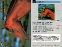 カード ホースレーシング まとめ セイントサブリナ リアルシャダイ ブライアンズタイム ホクトベガ メジロドーベル ケイエスヨシゼン サンライフテイオー トキオクラフティー メジロライアン 競馬 馬 バンダイ bandai サムネイル 10