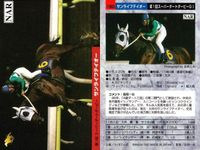 カード ホースレーシング まとめ セイントサブリナ リアルシャダイ ブライアンズタイム ホクトベガ メジロドーベル ケイエスヨシゼン サンライフテイオー トキオクラフティー メジロライアン 競馬 馬 バンダイ bandai サムネイル 8