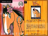 カード まとめ 馬なり1ハロン劇場 シアター ワンダーパヒューム チョウカイキャロル アドラーブル 
イソノルーブル ダンスインザダーク タヤスツヨシ 
ウイニングチケット アイネスフウジン フラワーパーク 競馬 馬 よしだみほ サムネイル 10