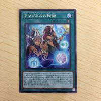 遊戯王 字レア カード トレーディングカード アマゾネスの秘術 まとめ サムネイル 4