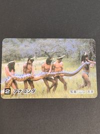 大神秘アマゾン カバヤ カード Kabaya 2 アナコンダ サムネイル 1