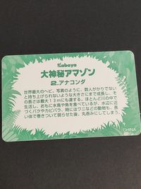大神秘アマゾン カバヤ カード Kabaya 2 アナコンダ サムネイル 2