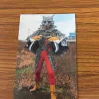 カルビー 仮面ライダー カード まとめ 22 サムネイル 4