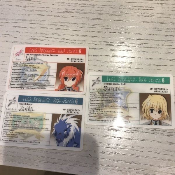 交渉歓迎 リリカルなのは IDカード 初回特典 dvd カード ca10-2 0720