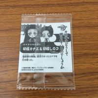 カード トレカ まとめ 鬼滅の刃 不死川 実弥 我妻 善逸 嘴平 伊之助 非売品 プロモ 錆兎 真菰 胡蝶 しのぶ カナエ 5 サムネイル 10