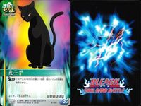 カード まとめ ブリーチ BLEACH ソウルカードバトル 夜一 ジャイアーン 全員イノシシ 霜道り合い 夜一さま 弱くてすいませんでした 拘束 サムネイル 2