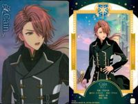 カード 魔法使いの約束 まほやく ウエハース 9枚 まとめ オズ オズ アーサー カイン リク スノウ ホワイト オーエン ファウスト サムネイル 5