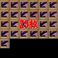 キラーパンダ 25枚 型番統一 コレクション ノーマル 遊戯王 まとめ 2期 初期