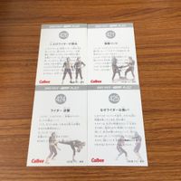 仮面ライダー カード まとめ 12 サムネイル 6