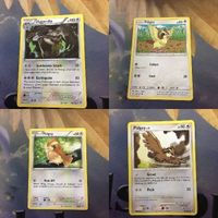 ポケモンカード 海外 英語版 ホールド ポッポ 65 36 13 61 サムネイル 1