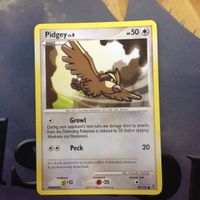 ポケモンカード 海外 英語版 ホールド ポッポ 65 36 13 61 サムネイル 5