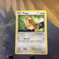 ポケモンカード 海外 英語版 ホールド ポッポ 65 36 13 61 サムネイル 3