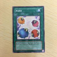 遊戯王 ノーマル 韓国語含む カード トレーディングカード スケープゴート まとめ サムネイル 3