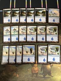 希少 簡体字版 島/Island 18枚 型番統ー まとめ MTG 人気絵柄 多言語 中国語 神河物語 ローウィン