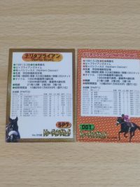 ナリタブライアン 付録 SP7 001 カード まとめ サムネイル 2