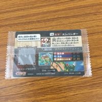 カード トレカ まとめ ガオロード 未開封 エンパンダー メルクリア ゴムナイト隊 ピリカ ピリム ヒャッコ マニタリーニ 42 サムネイル 10