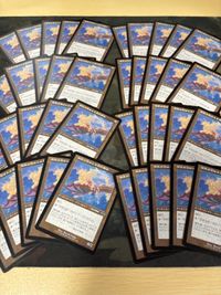 型番統一 40枚 極楽の羽ばたき飛行機械 Ornithopter of Paradise 日本語 JP 旧枠 MH2 まとめ MTG
