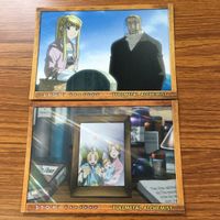 鋼の錬金術師 ハガレン カード トレカ カードダスマスターズ まとめ ホーエンハイム エド エドワード アル アルフォンス ウィンリィ 13 サムネイル 3