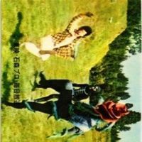 【状態C-D】256 251 285 277 仮面ライダー 旧カルビー 他27局 カード まとめ サムネイル 2
