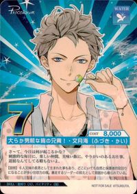 カード 【状態B】 ツキウタ 春のファン祭り2014 非売品 キラ 文月 海