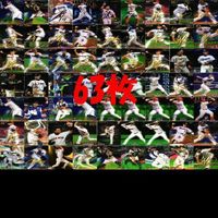 Baseball Card Lot Signature Star Card Japanese