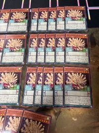 マジェスペクター・パーキュパイン 34枚 遊戯王 ノーマル 型番統一 まとめ サムネイル 3