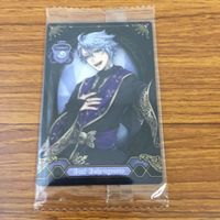 未開封 ウエハース カード まとめ ツイステッド ワンダーランド ツイステ リドル イデア アズール レオナ セベク レア 19 サムネイル 5