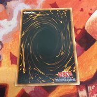 IT220812-2189 ナチュル・ナーブ DTノーマル DT03-JP010 遊戯王 サムネイル 4