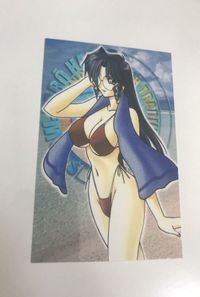 bijo-103 電撃大王 DDTC 1999年 非売品 美少女 水着 カード トレカ 電撃 サムネイル 1
