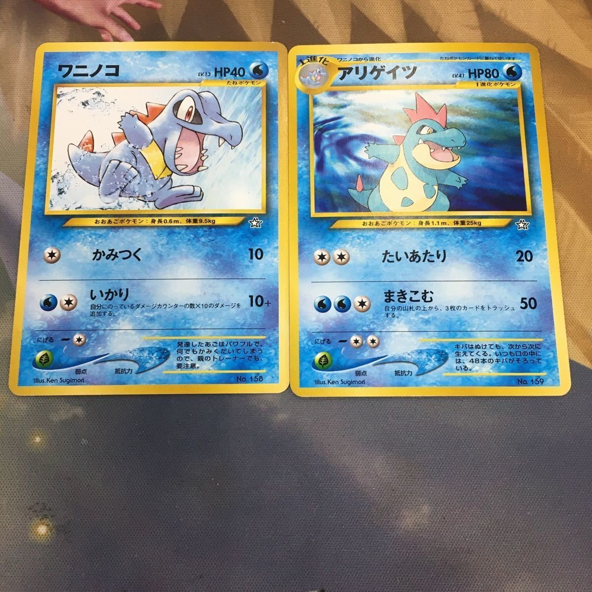 ポケモンカード 旧裏面 2枚 マークなし ワニノコ アリゲイツ 42