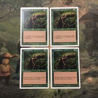 MTG マジックザギャザリング カード まとめ 5ED 生きている大地/Living Lands 4枚セット 124