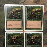 MTG マジックザギャザリング カード まとめ 5ED 生きている大地/Living Lands 4枚セット 124 サムネイル 3